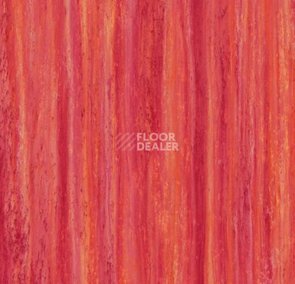 Линолеум Forbo Marmoleum Decibel on Order 524235 red roses фото 1 | FLOORDEALER